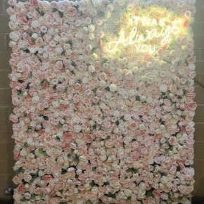 felicity flowerwall rental croydon