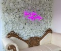 Elegance Permanent Flowerwall with Neon Light